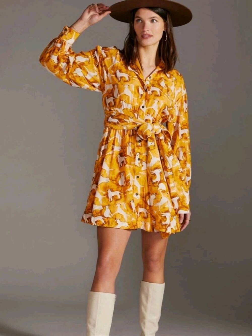 Anthropologie Maeve Cute White Dog Print Mini Shirtdress In Gold Size xxsmall 00